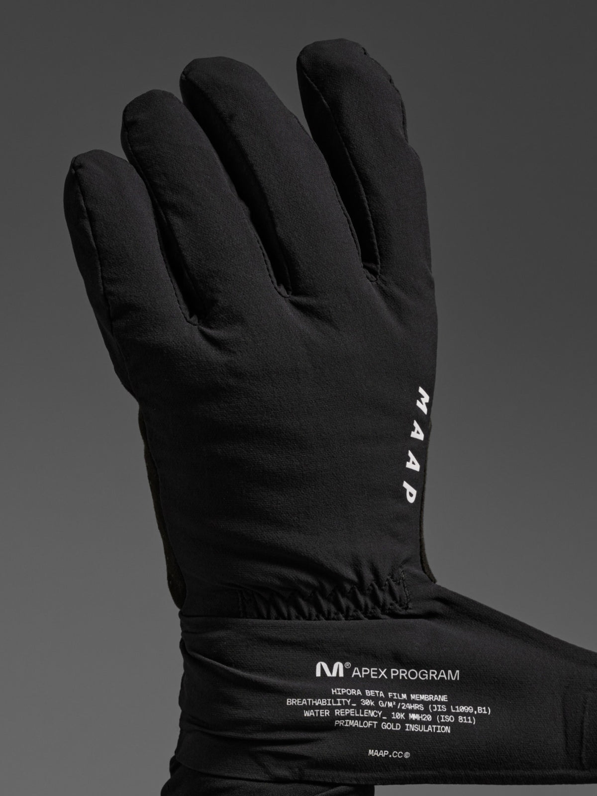 Apex Winter Glove 2.0